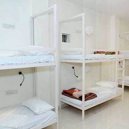 The Charlie'S Hostel نيودلهي المظهر الخارجي الصورة