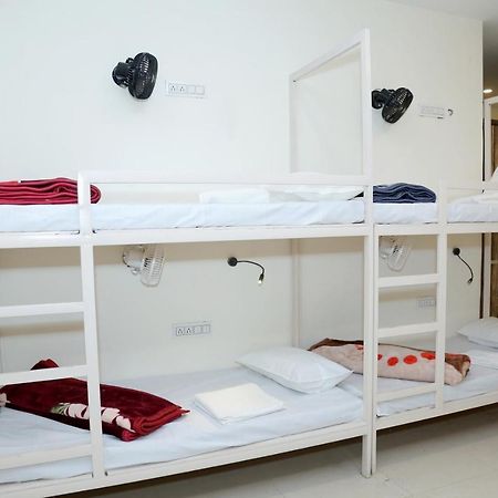 The Charlie'S Hostel نيودلهي المظهر الخارجي الصورة