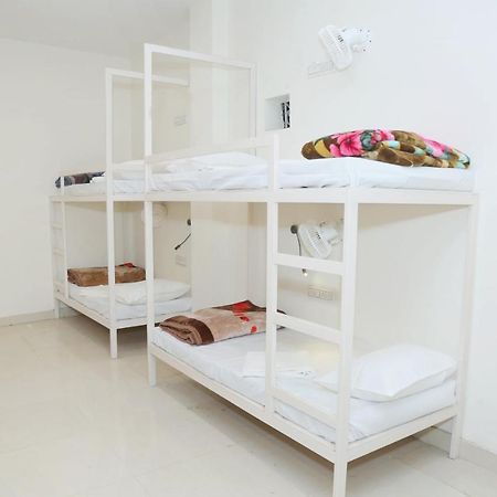 The Charlie'S Hostel نيودلهي المظهر الخارجي الصورة