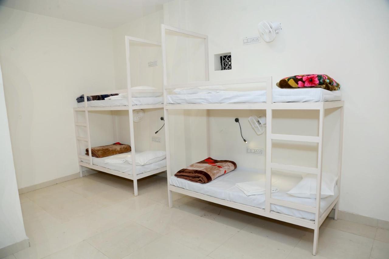 The Charlie'S Hostel نيودلهي المظهر الخارجي الصورة