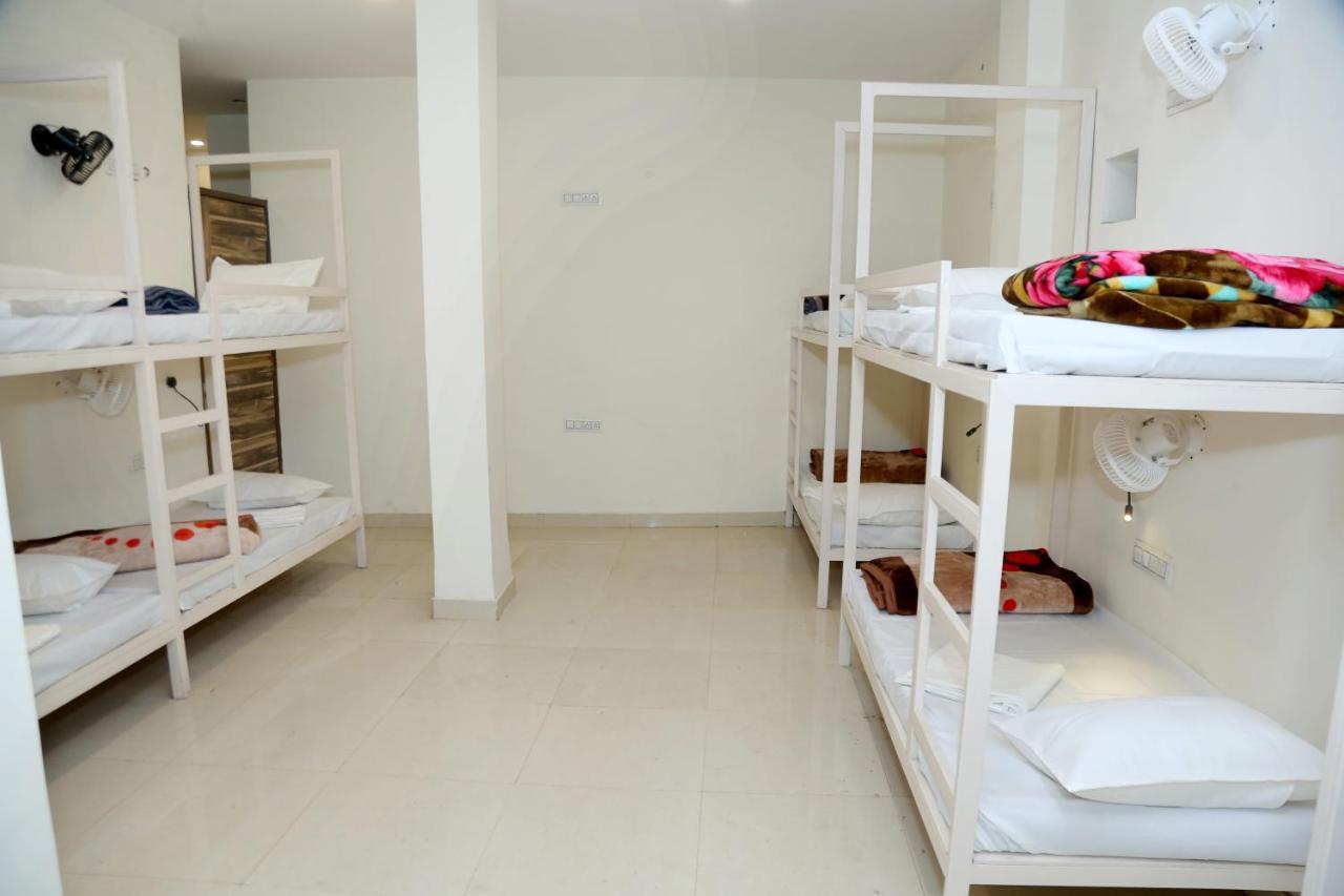 The Charlie'S Hostel نيودلهي المظهر الخارجي الصورة