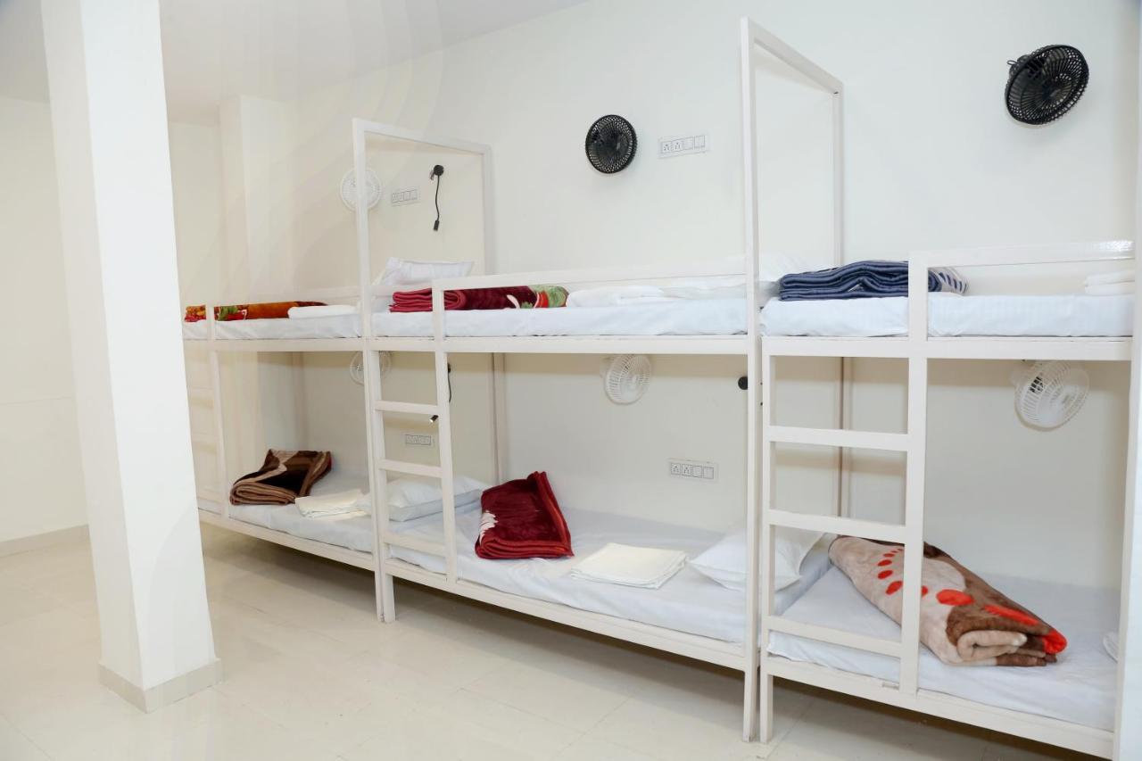 The Charlie'S Hostel نيودلهي المظهر الخارجي الصورة