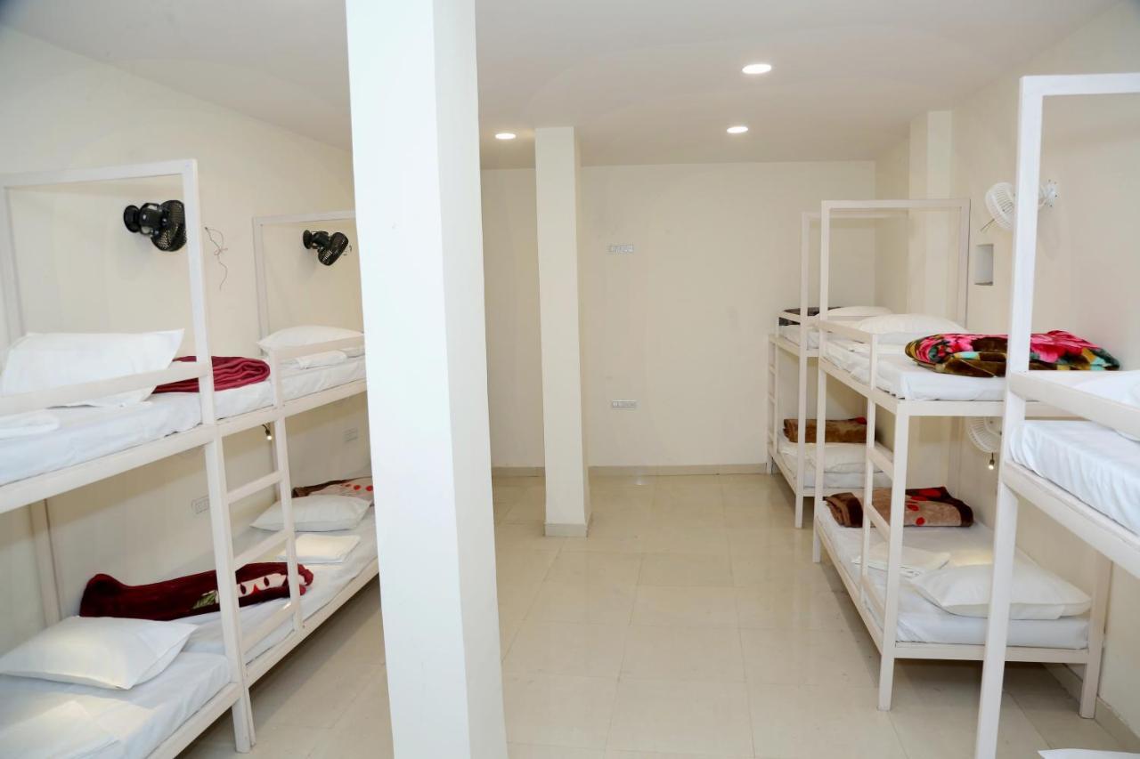 The Charlie'S Hostel نيودلهي المظهر الخارجي الصورة