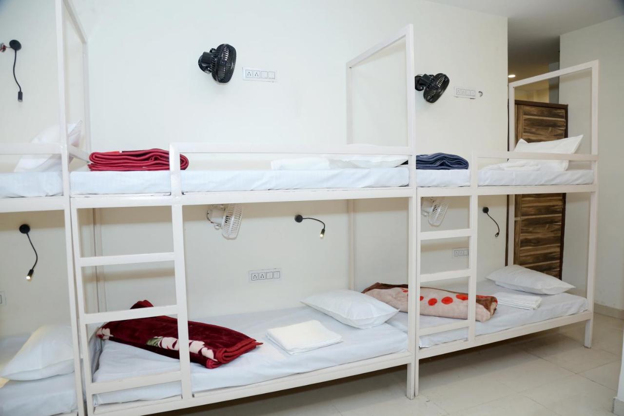 The Charlie'S Hostel نيودلهي المظهر الخارجي الصورة