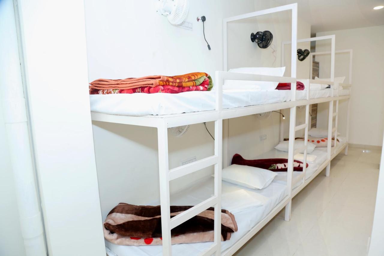 The Charlie'S Hostel نيودلهي المظهر الخارجي الصورة