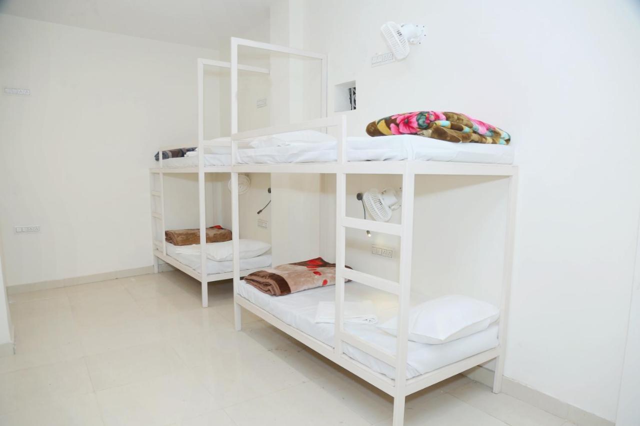 The Charlie'S Hostel نيودلهي المظهر الخارجي الصورة